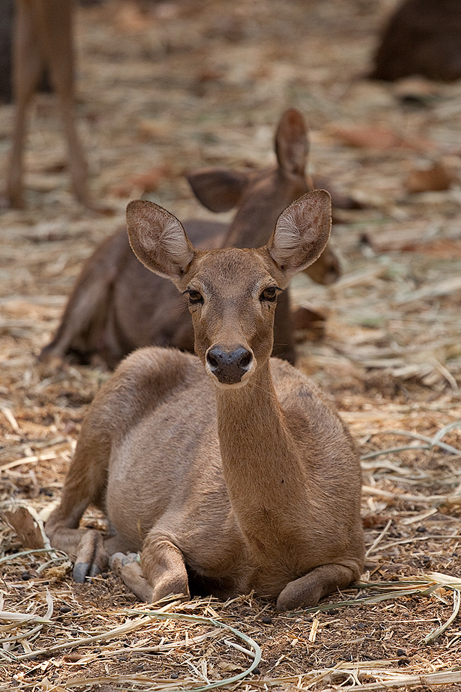 natuur2